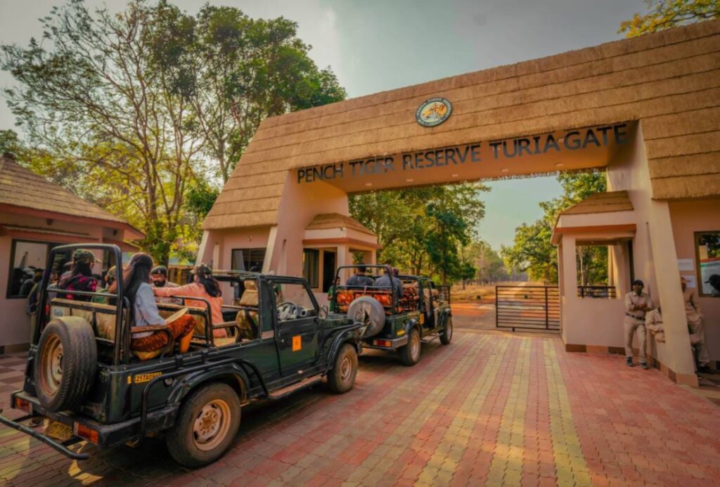 Turia Gate at Pench National Park Safari