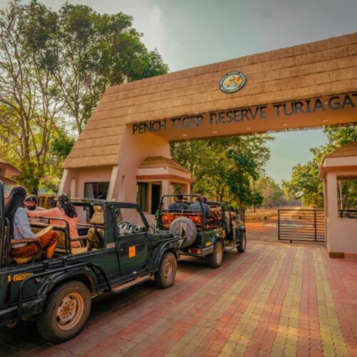Turia Gate at Pench National Park Safari