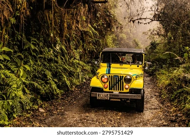 Top Hidden Wildlife Destinations to Add to Your Travel List