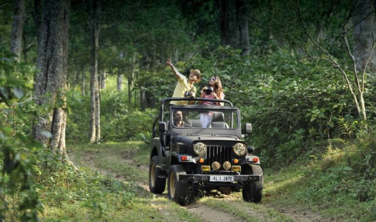 jeep-safari